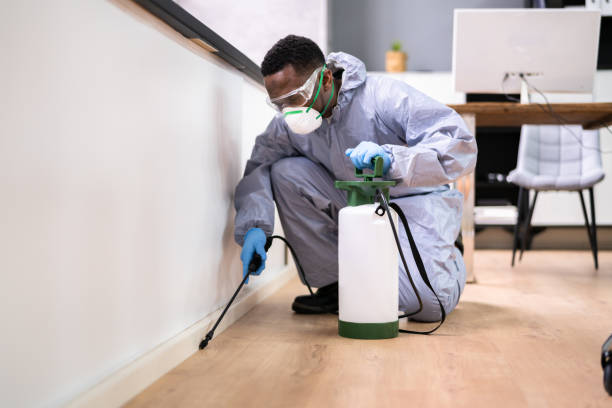 Team member cleaning on site