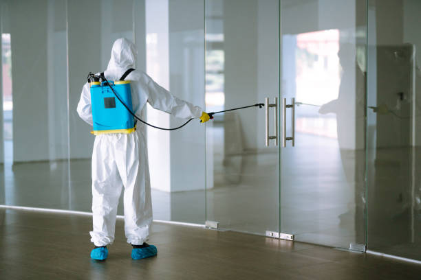 Our team delivering professional cleaning services