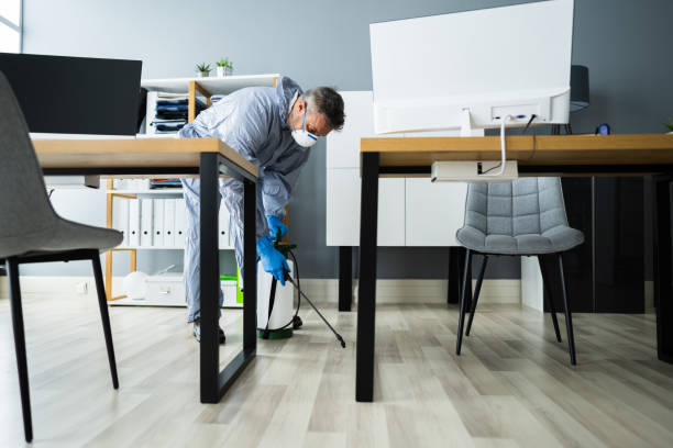 Team member working during cleaning service