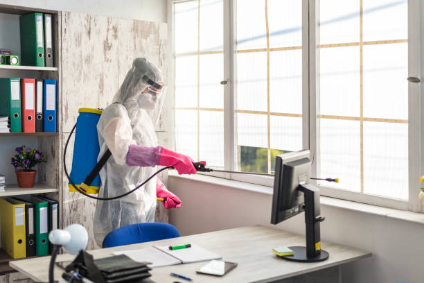 Team member handling cleaning tasks